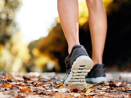 shoes on leaves